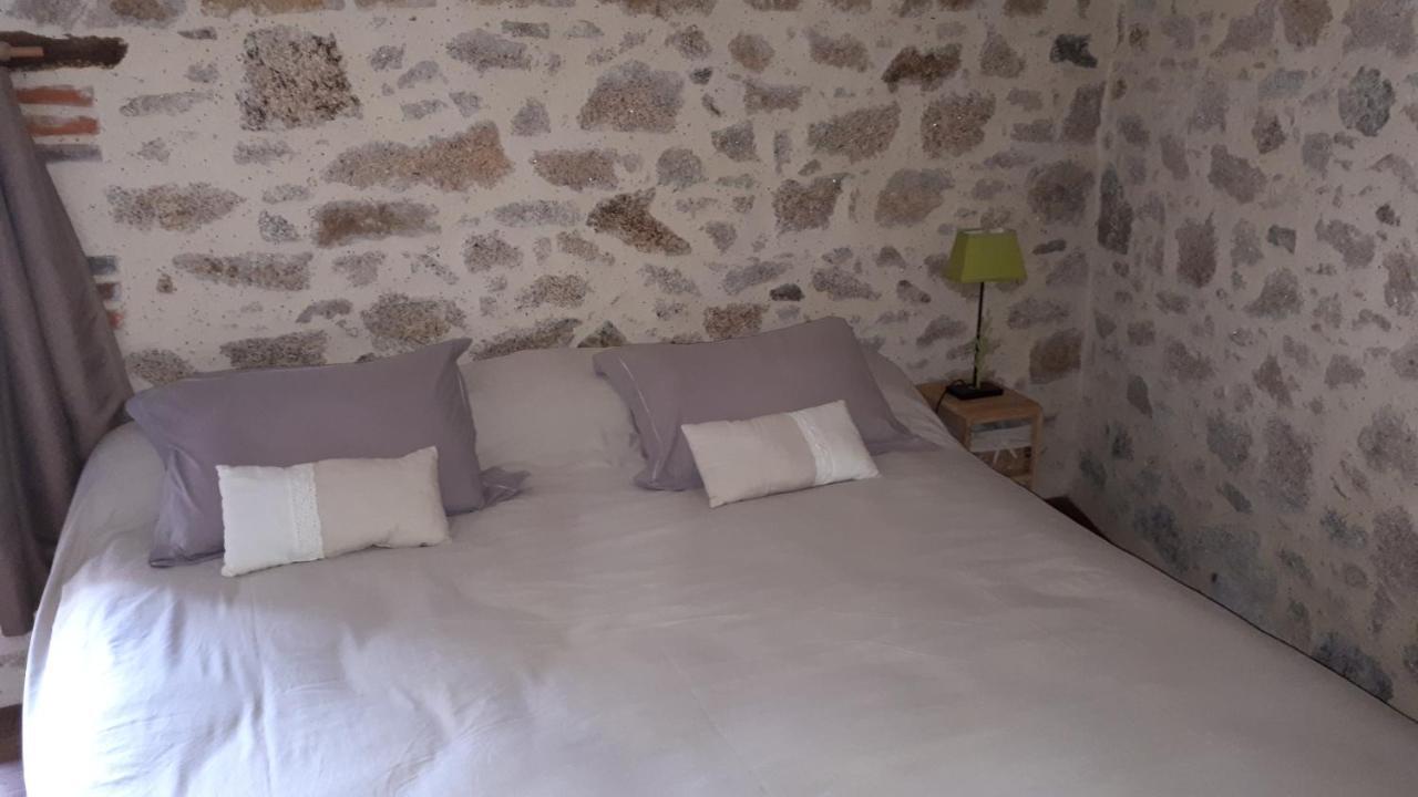 Demeure Du Castel Bed & Breakfast Les Châtelliers-Châteaumur Екстериор снимка